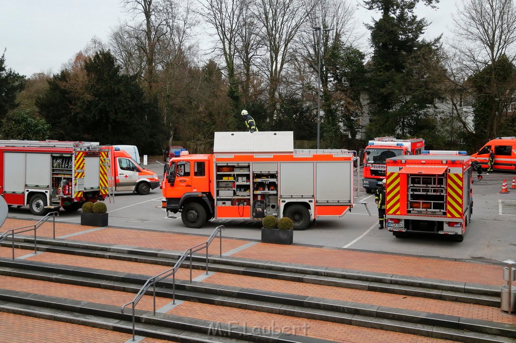 Einsatz BF Flora Botanischer Garten Mobile Arbeitsbuehne in Schraeglage P18.JPG